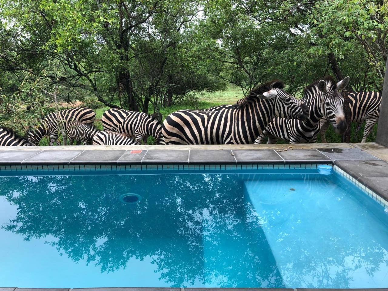 Kruger Willows Marloth Park Exterior foto