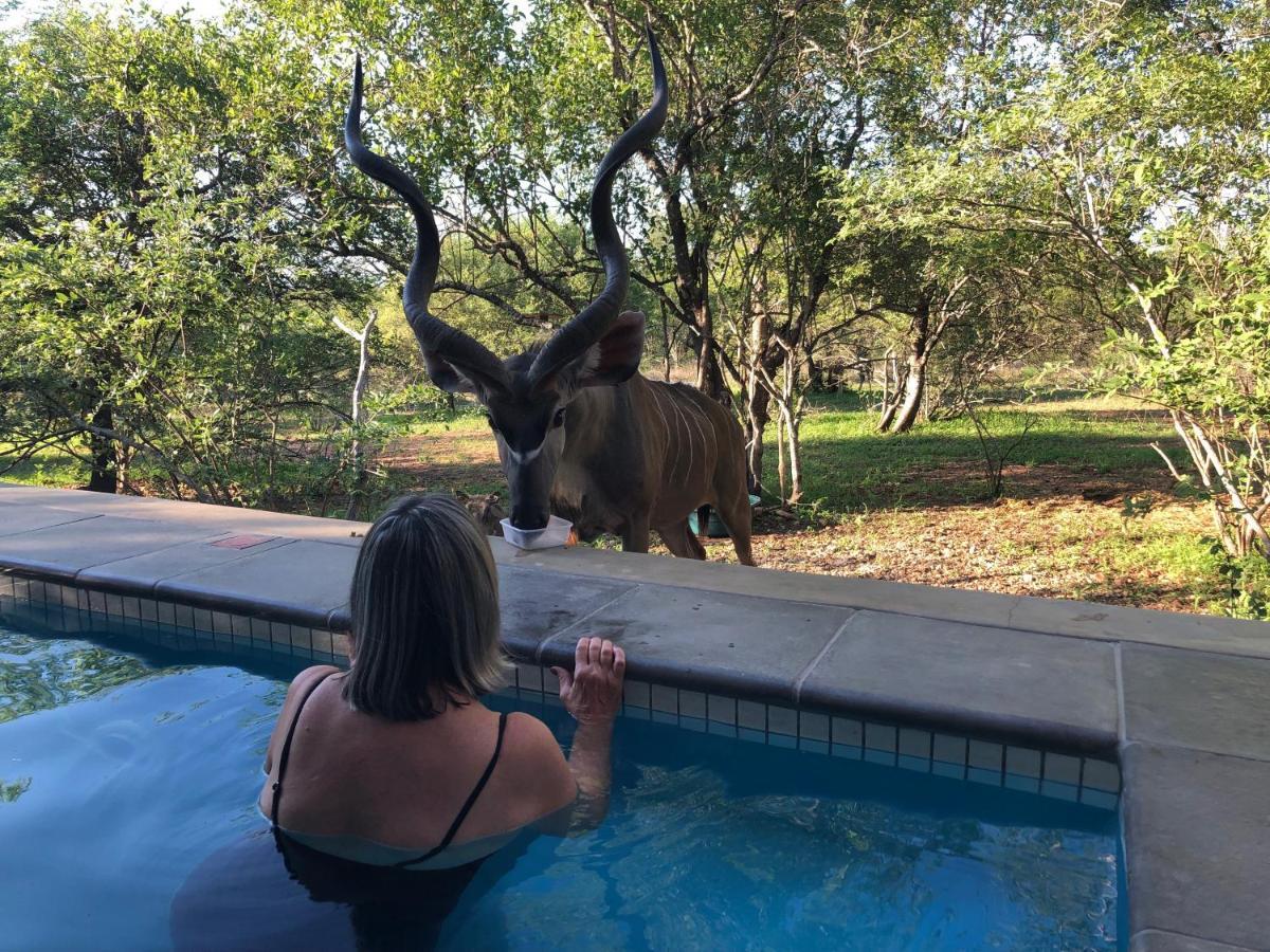 Kruger Willows Marloth Park Exterior foto